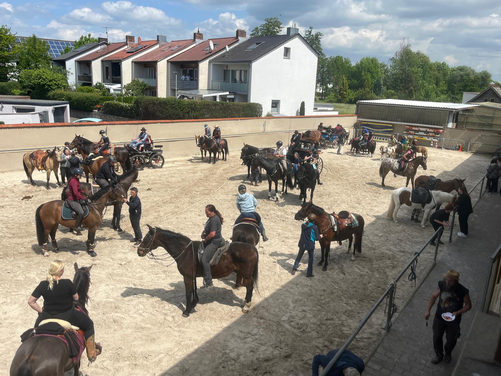 Reitplatz mit Pferden und Gespannen